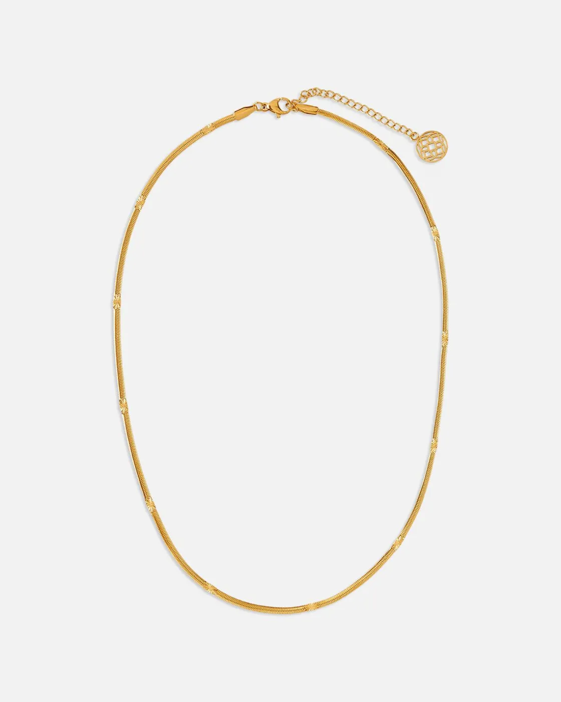 Collares^Lonbali Collar Gandy